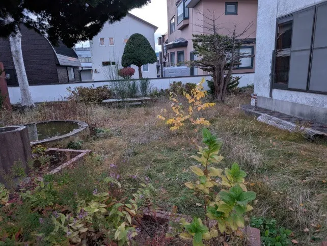 原状のお庭です